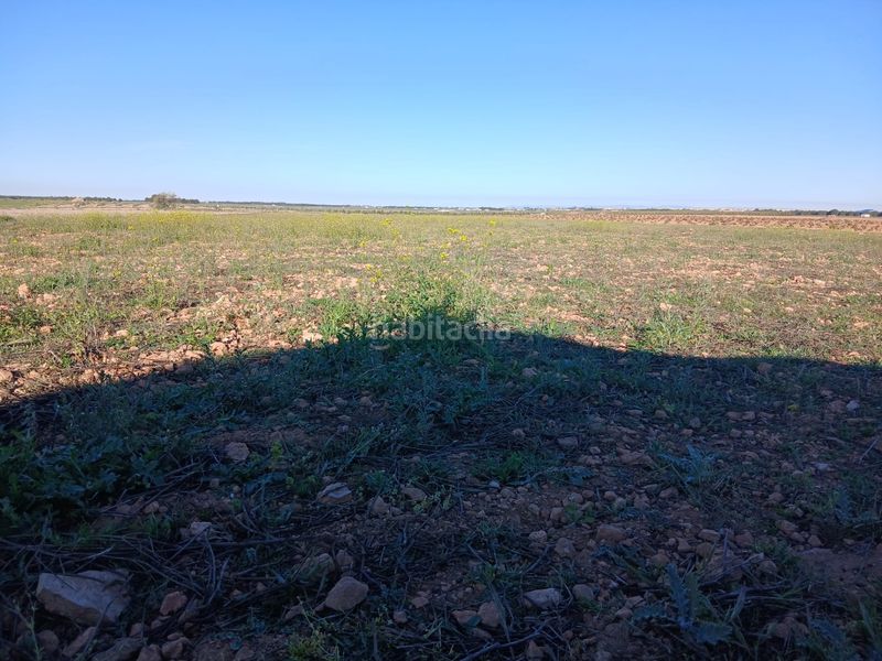Foto 6f3cd89d-2368-481a-8af4-cf9a9d61f02d. Finca rústica a Tomelloso