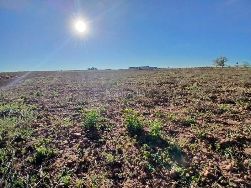 Foto 96595e6e-fc3d-451f-ac09-ea52be388958. Finca rústica a Tomelloso