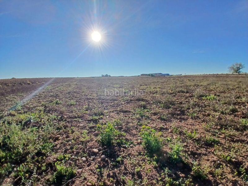 Foto bf797e5e-b7b3-45d8-b21b-99dd450a09e9. Finca rústica a Tomelloso