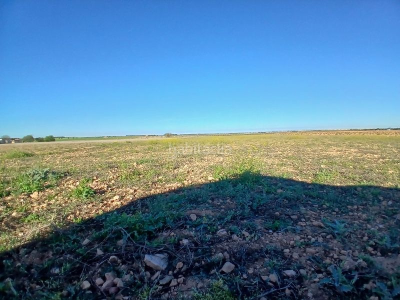 Foto cf26c91e-01bc-43c9-96d0-3e09ee7fff98. Finca rústica a Tomelloso