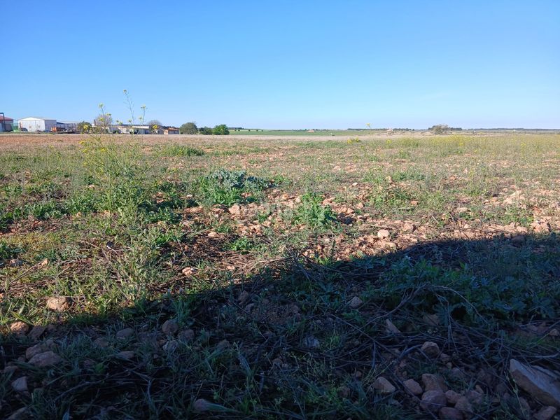 Foto d63b89d6-496e-4a49-807b-903158c8be55. Finca rústica a Tomelloso