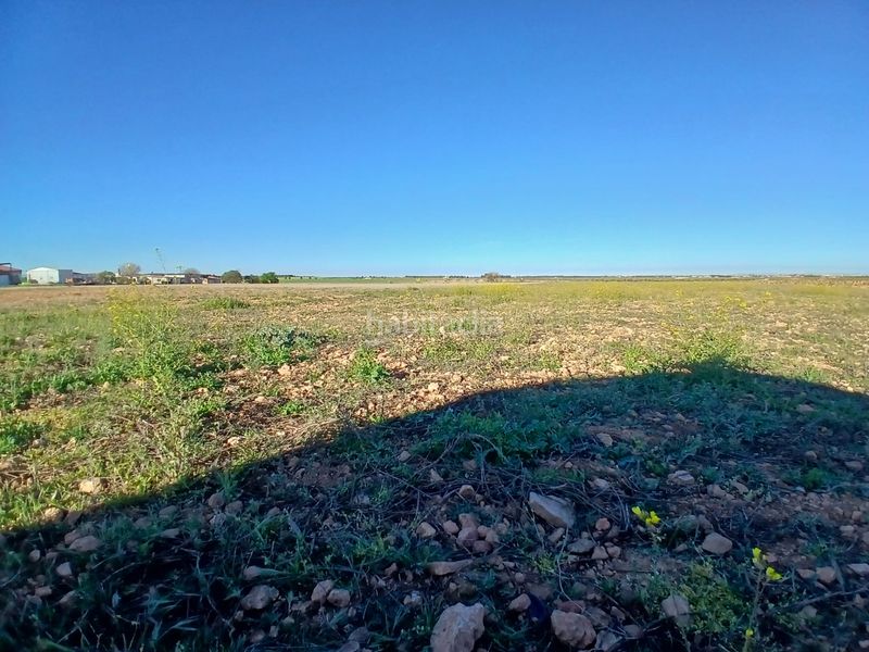 Foto eb59e786-882e-416e-8ab9-49ae85f9371a. Finca rústica a Tomelloso