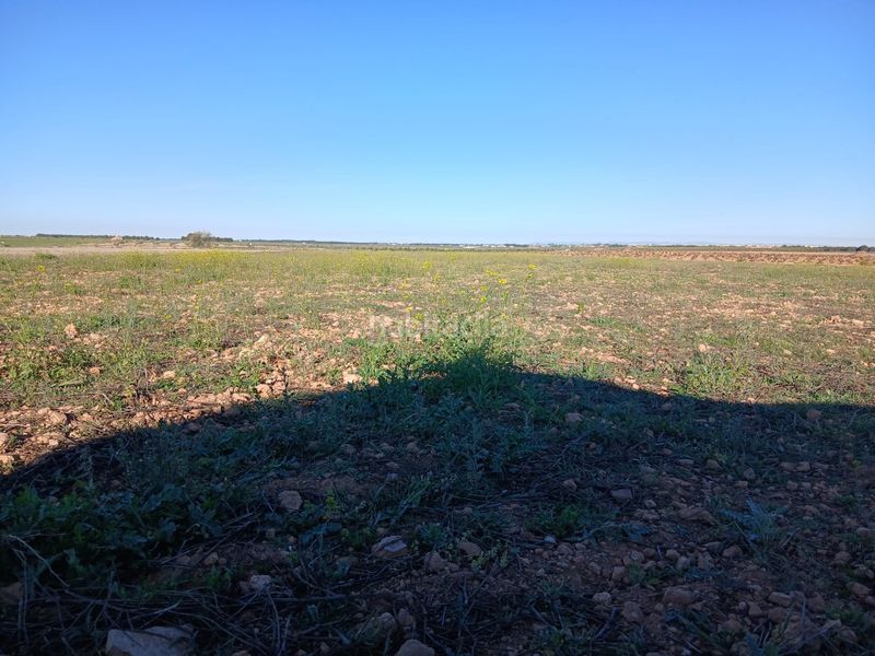 Foto ece1ab7e-c0ec-4d98-8d98-f1f6dae0497a. Finca rústica a Tomelloso