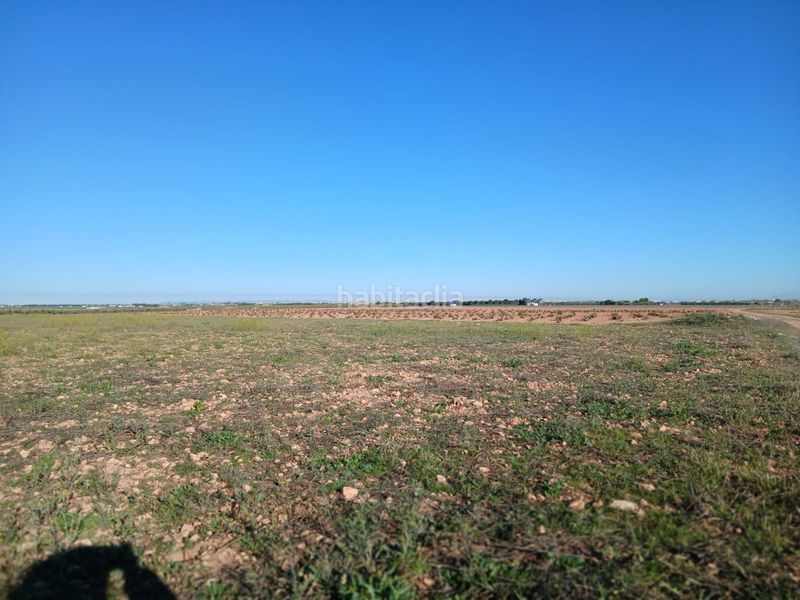 Foto f1e39a39-5cf3-4d7d-a867-551ea70a6b9e. Finca rústica a Tomelloso