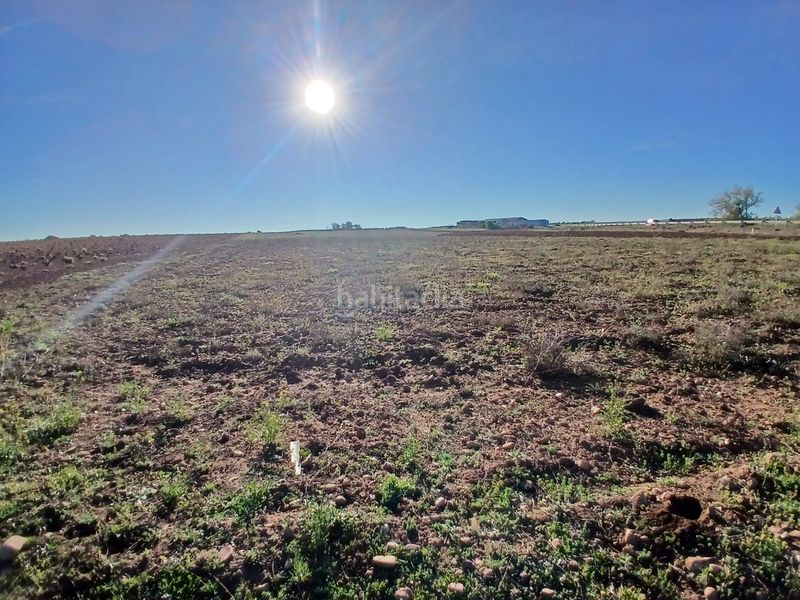 Foto f2bdb5bc-2f28-45e8-92fa-026a4716447b. Finca rústica a Tomelloso