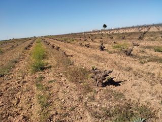 Rural plot  N/a. Terreno en venta en cm-3102, socuéllamos