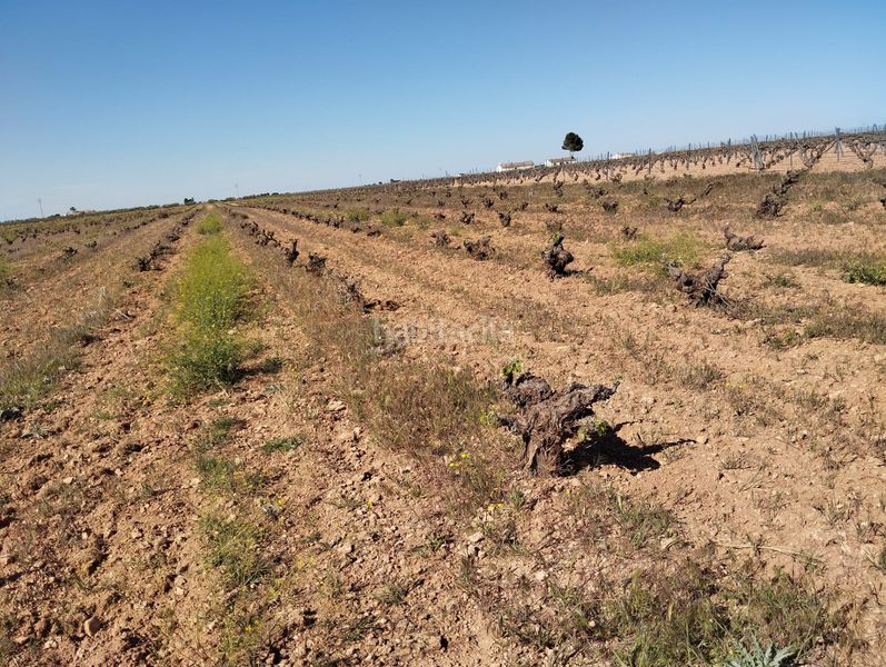 Foto 8238a613-c6e9-48b3-937f-0fb83e0aa1d3. Finca rústica a Socuéllamos