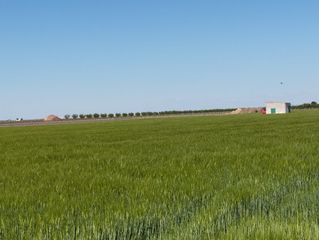 Rural plot  N/a. Terreno en venta en cm-3102, socuéllamos