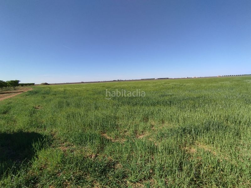 Foto c540dbbe-c1de-4bc3-9bce-a942c5cd4694. Finca rústica a Socuéllamos