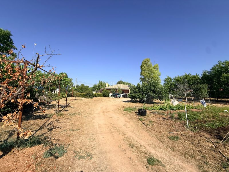 Foto 3eee9fb7-e3a1-411d-b8c3-cbcd9903e9e4. Masia amb aparcament piscina a Tomelloso
