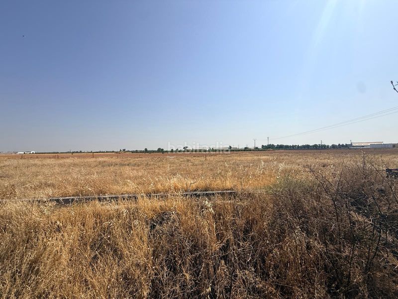 Foto 83c27389-7da1-4a77-847a-84ff705fb3db. Finca rústica a Tomelloso