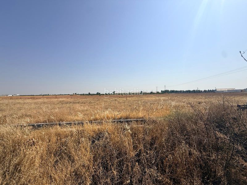 Foto abc123dd-0d9a-4610-b16d-6ad0c83a6789. Finca rústica a Tomelloso