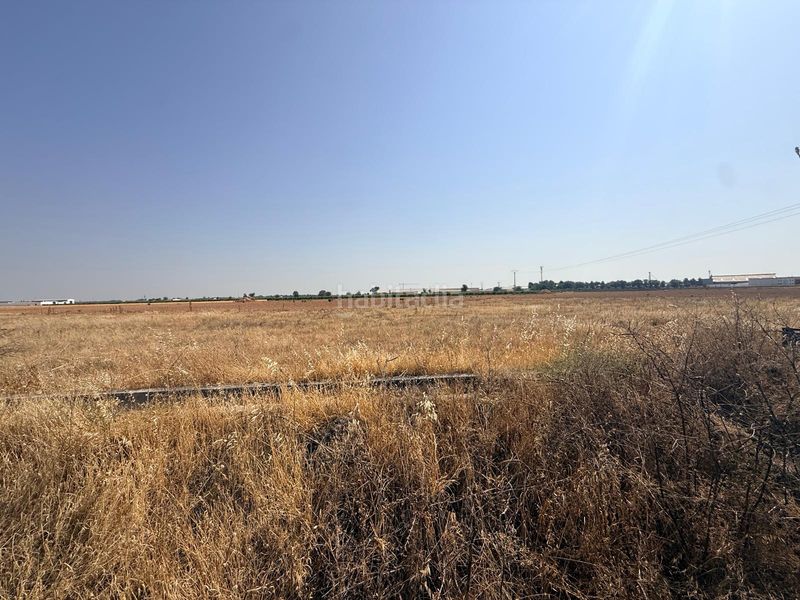 Foto c7f01fa7-fb35-4c64-a9e5-aad4c481a00a. Finca rústica a Tomelloso