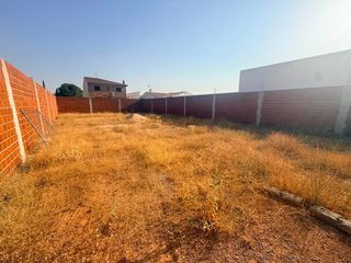 Terreno residencial  Calle alcalde ramón gonzález martínez. Terreno en venta en calle alcalde ramón gonzález martínez, tomel