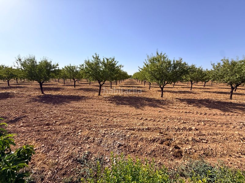 Foto 61316b79-7278-4446-84d9-3637d9e189a3. Masia amb aparcament a Argamasilla de Alba