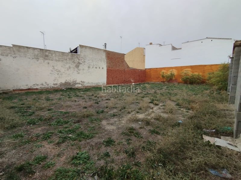 Foto b61587d2-9b2a-43c1-86b3-a386c023c4f2. Residential plot in Tomelloso