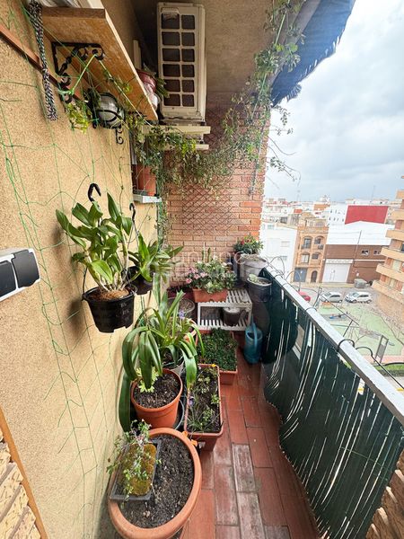 Foto 2a0ff05b-67ce-4dbe-9c4b-561a9c857c6a. Pis a Pobla de Farnals Pobla de Farnals (la)