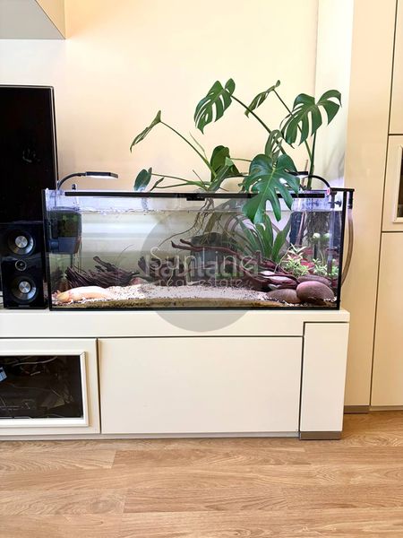 Foto ad3c6ab1-910d-44d5-b68d-ff0487f3eea8. Dúplex a Massamagrell