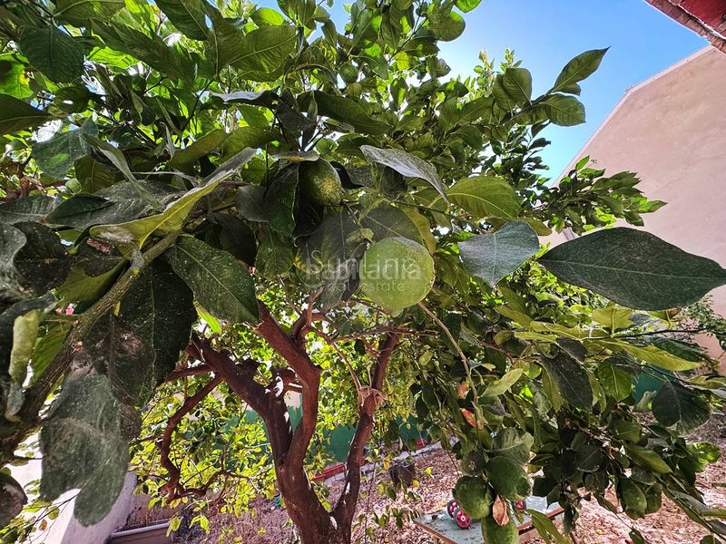Foto cabd8640-6f4e-42b9-9b8d-c6753e4c6af0. Casa a Alfafar