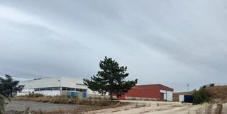 Fabrikhalle in Almunia de Doña Godina (La). Nave industrial con cámaras frigoríficas en la almunia