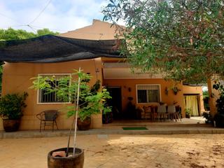 Xalet en Crevillente. Se vende chalet