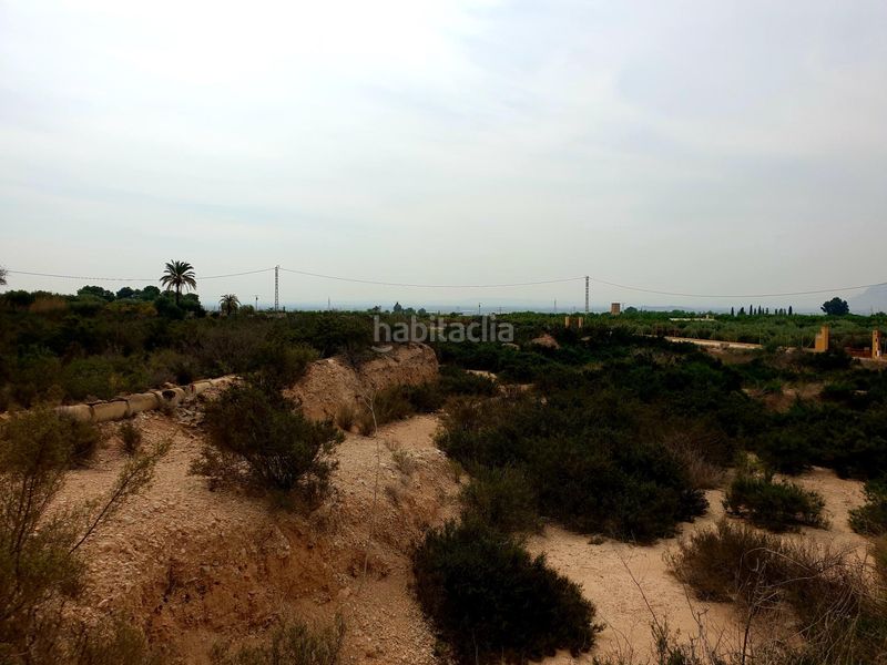 Foto 1250fa46-bf6c-4a00-962d-9f8e91c78755. Finca rústica a Crevillente