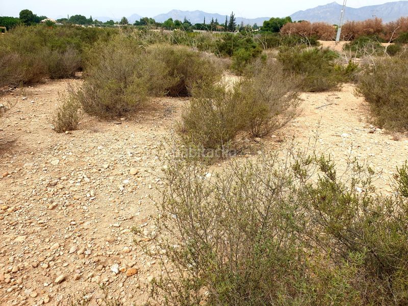 Foto 942c58b9-d5ce-4ae2-b25e-337cdd20eb4e. Finca rústica a Crevillente