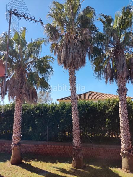 Foto f96a1599-3979-41aa-ba3a-38c3e4e2f043. Chalet avec cheminée chauffage parking dans Conil Conil de la Frontera