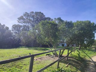 Xalet  Calle ventozano. Exclusivo. ¡descubre tu oasis privado!