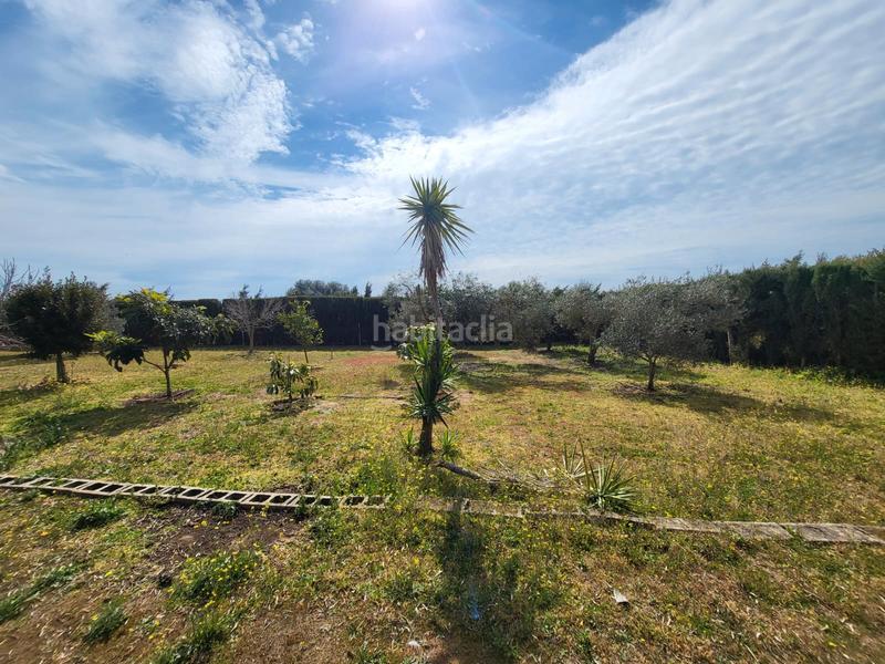 Foto 1469639b-db18-49b8-989b-30f8dffa9347. Casa aparellada amb xemeneia calefacció aparcament piscina a Medina Sidonia