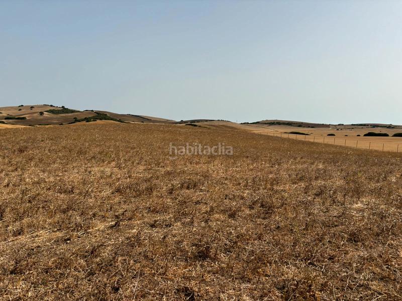 Foto 0ada71a2-8c16-4f1c-b56e-a86a19250137. Fondo rustico in Medina Sidonia