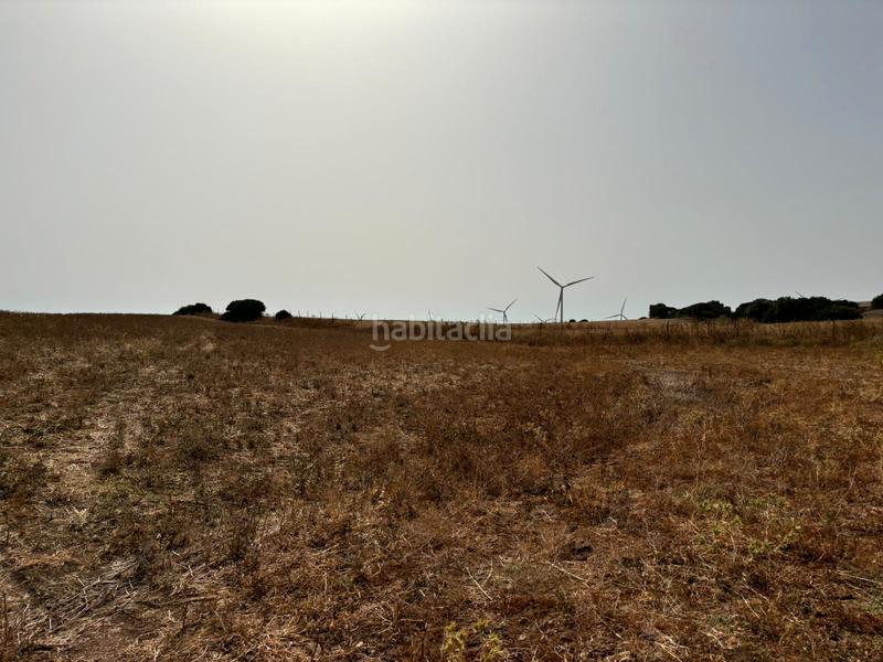 Foto 0b212cb4-4c83-4687-8ce4-fc2a3a733052. Fondo rustico in Medina Sidonia