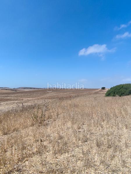 Foto 16e0112d-f600-4940-a01e-928578c4ed22. Fondo rustico in Medina Sidonia