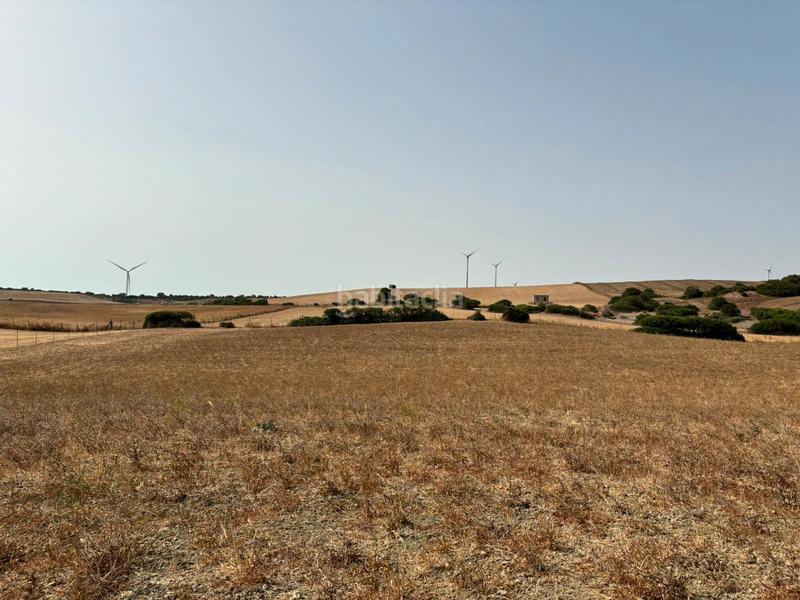 Foto 25b8dd4c-64d7-4769-80d2-59952722aef9. Fondo rustico in Medina Sidonia