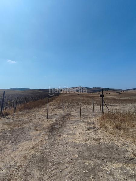 Foto 281eecad-55ff-4fb6-8846-cee72a393062. Fondo rustico in Medina Sidonia