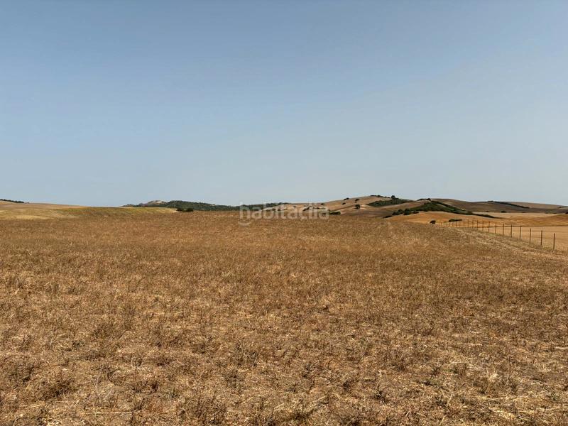 Foto 34a0fc59-f43d-4941-99a5-46ce68ede329. Fondo rustico in Medina Sidonia