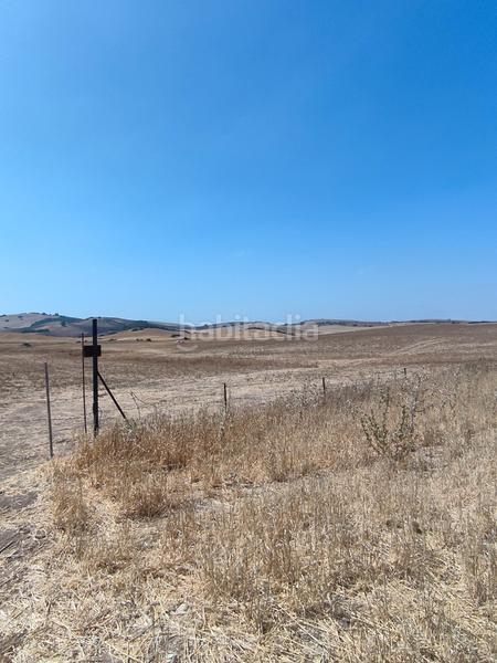 Foto 356d9ec5-499c-418a-bf9d-7a42af7c5595. Fondo rustico in Medina Sidonia