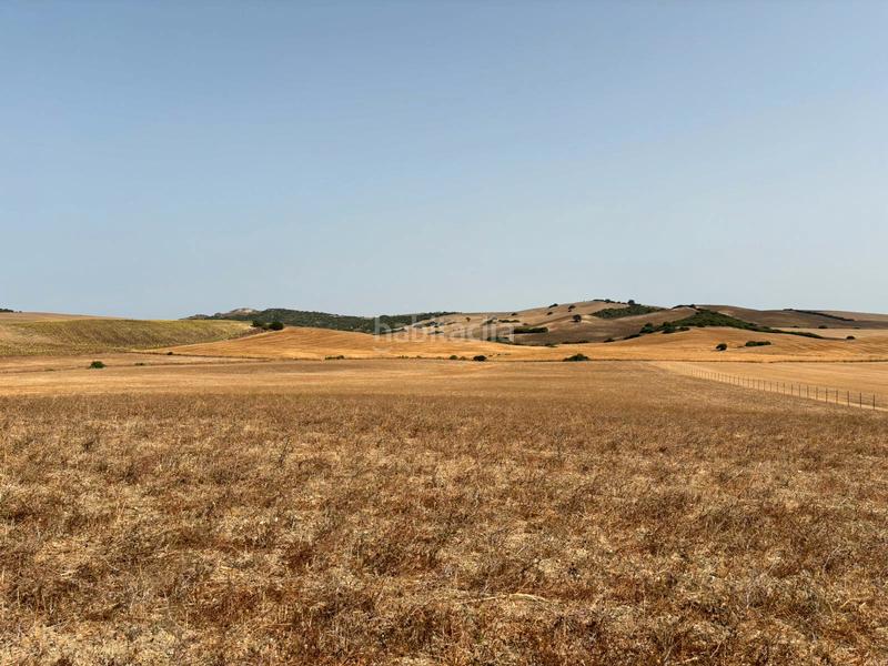 Foto 3cb5d571-0d41-4651-bbd5-14f0690716f6. Fondo rustico in Medina Sidonia