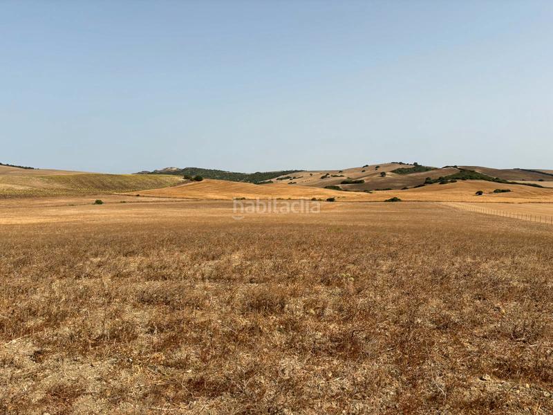 Foto 4137b237-4c8e-484e-8900-efacef90f8a5. Fondo rustico in Medina Sidonia