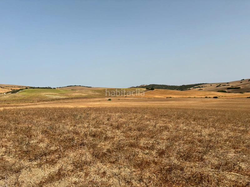 Foto 5021a567-00d5-4c70-a588-67678a881391. Fondo rustico in Medina Sidonia