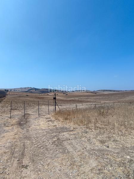 Foto 6aac9219-682b-494b-aef4-a2e355a0ac64. Fondo rustico in Medina Sidonia