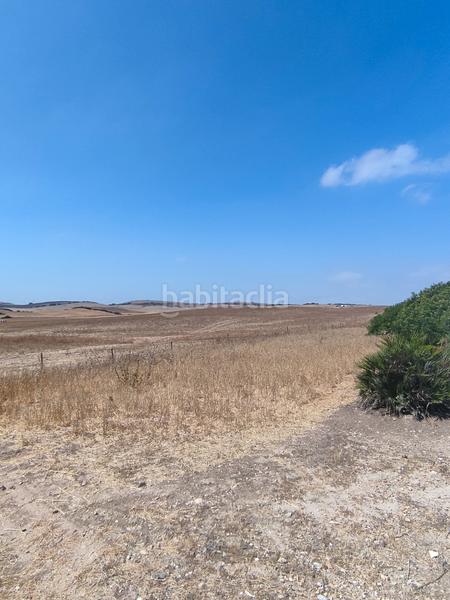 Foto 809a3590-ef8b-41db-8d08-d0132bc801fa. Fondo rustico in Medina Sidonia
