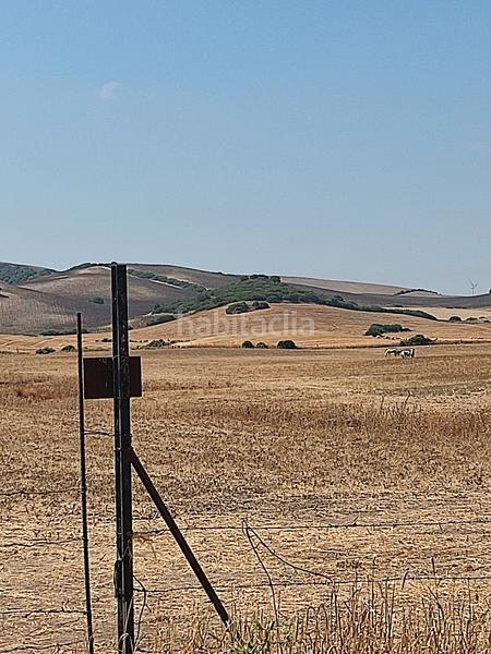 Foto 906d87c2-6f05-4b21-8045-d179cbe42409. Fondo rustico in Medina Sidonia