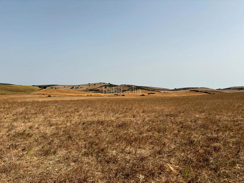 Foto 98cda32a-ff8b-472e-afb9-b5278837e9ce. Fondo rustico in Medina Sidonia