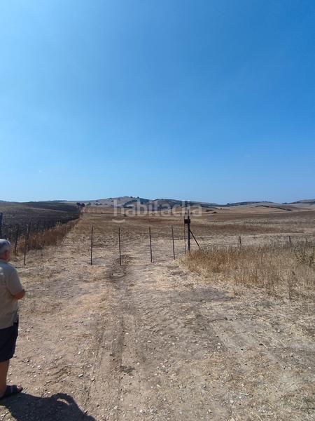 Foto 9b07613e-8424-4c8c-b9bd-98f78d27b26d. Fondo rustico in Medina Sidonia