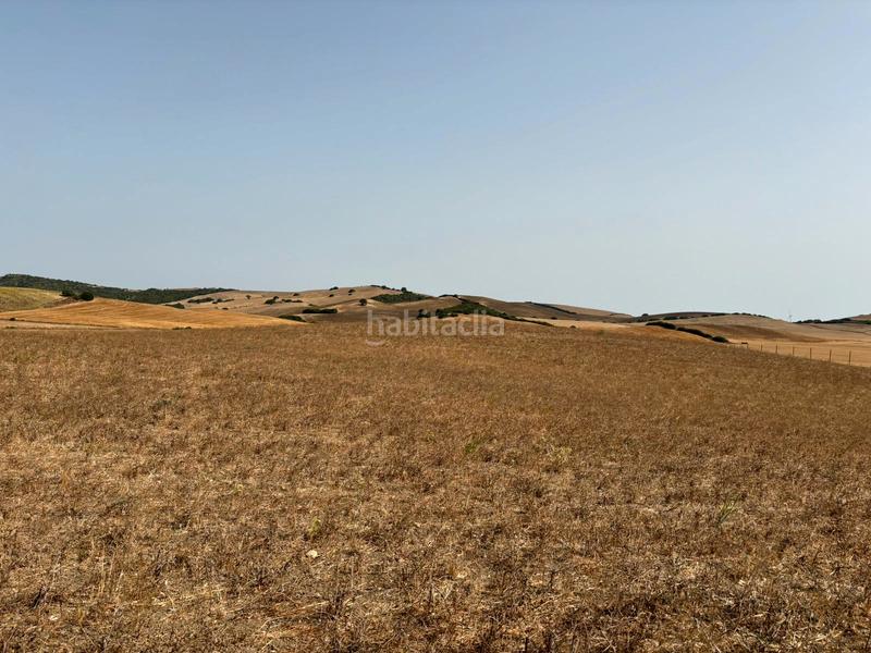 Foto a00046e7-8975-4ca0-9ef5-7d8c0c8dffe4. Fondo rustico in Medina Sidonia