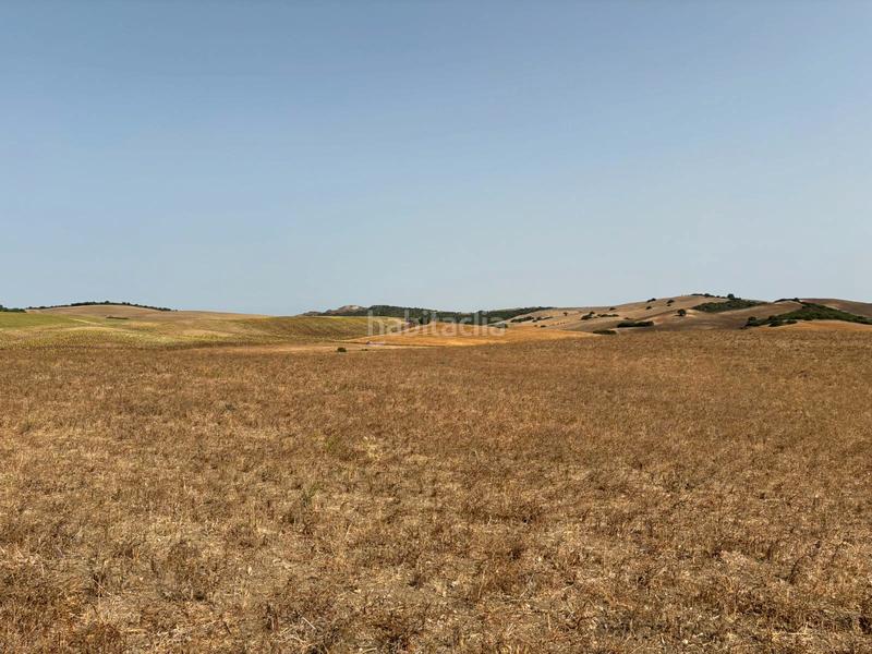 Foto b3c4956c-ab42-4f3e-bf4a-1ef7bf6c8596. Fondo rustico in Medina Sidonia