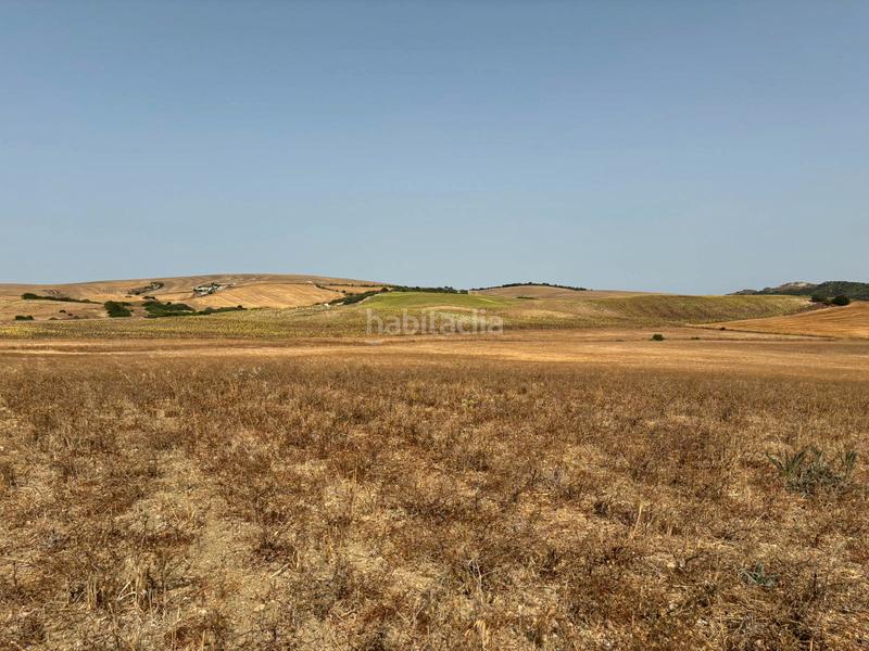 Foto b9d73cbc-6494-4ca3-a759-387ffeaf568b. Fondo rustico in Medina Sidonia