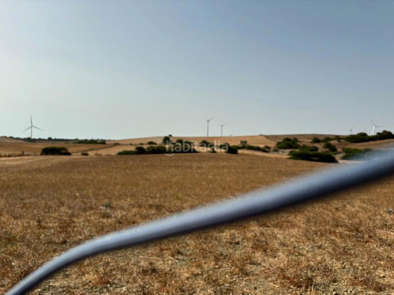 Foto bb1ee289-bebf-4e24-a4ea-4d53e720dab3. Fondo rustico in Medina Sidonia