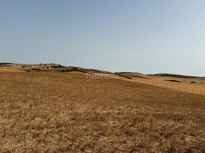 Foto fa99cd83-1da2-4005-b141-70843dd3c8ec. Fondo rustico in Medina Sidonia